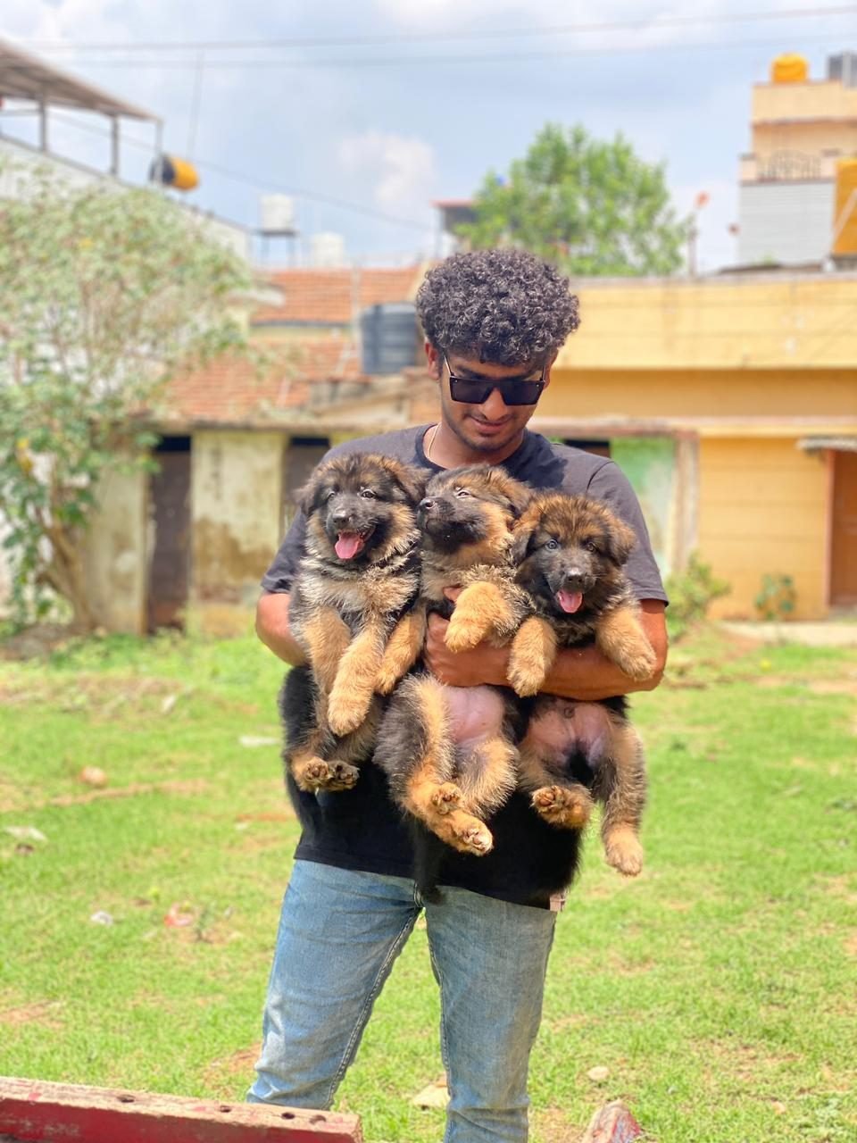 Rottweiler puppy with its handler